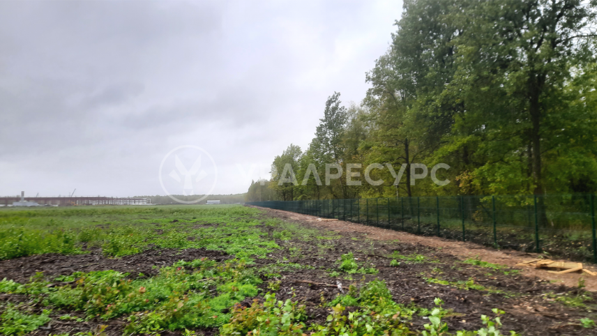 Ограждение территории особой экономической зоны «Новгородская»